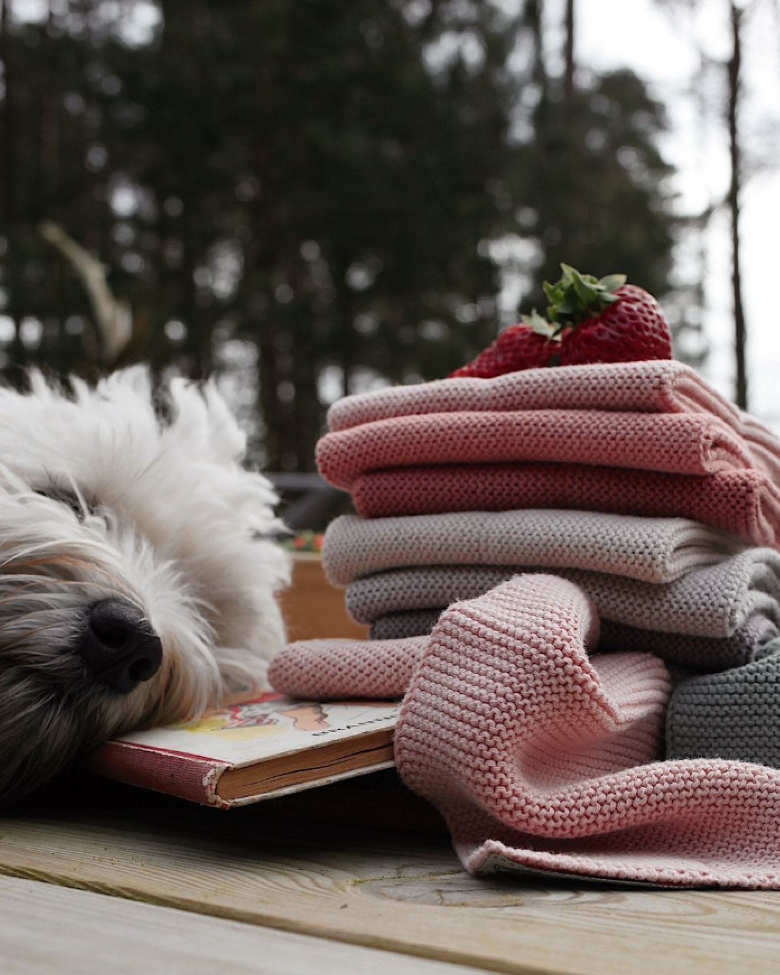 Torchon à vaisselle SOLWANG c.08126127 Sand 