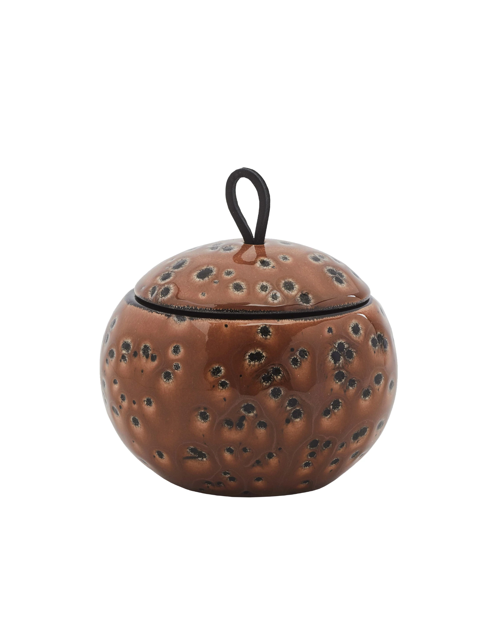 Beauty Box UGO Camel C.155