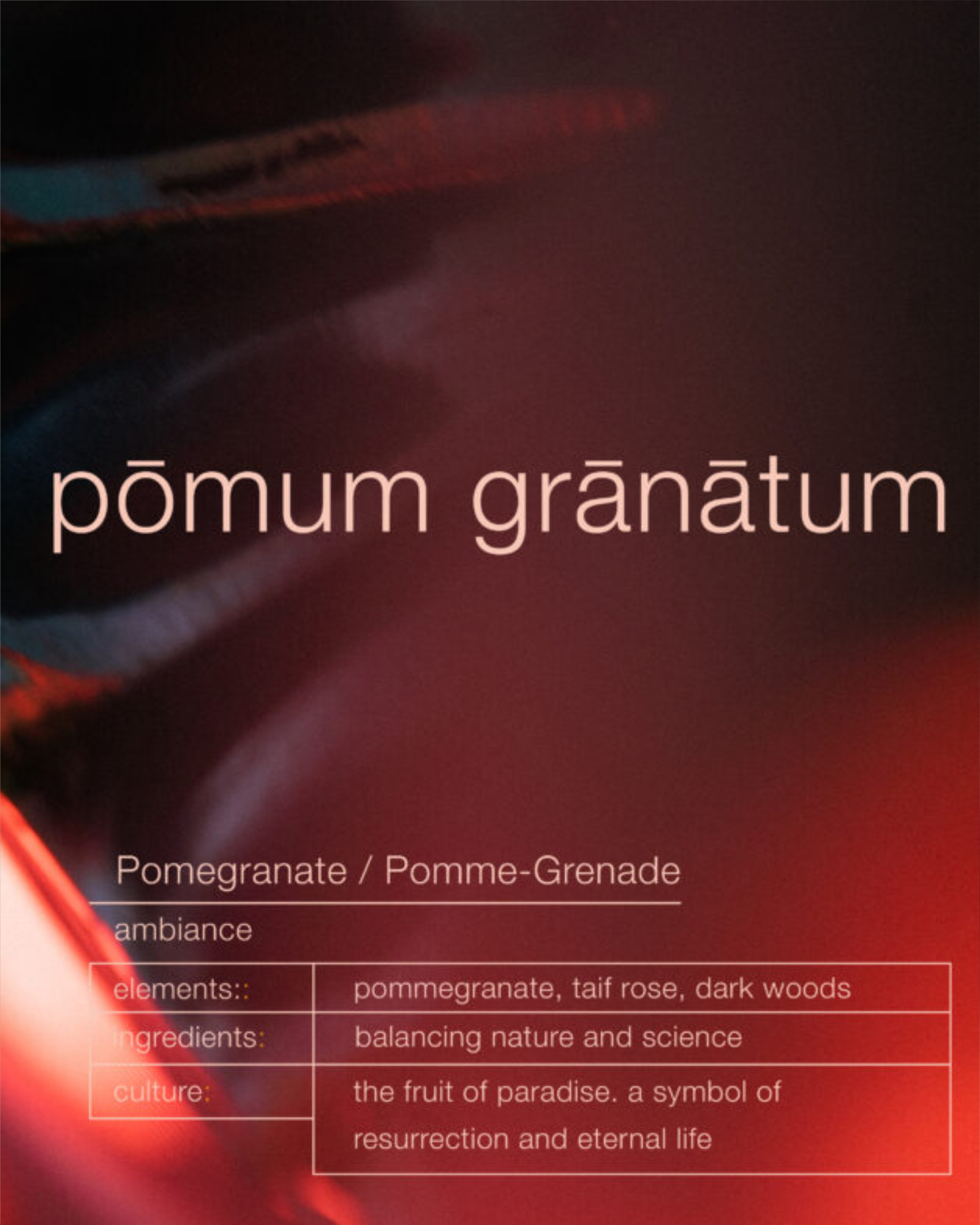 Spray POMUM GRANATUM