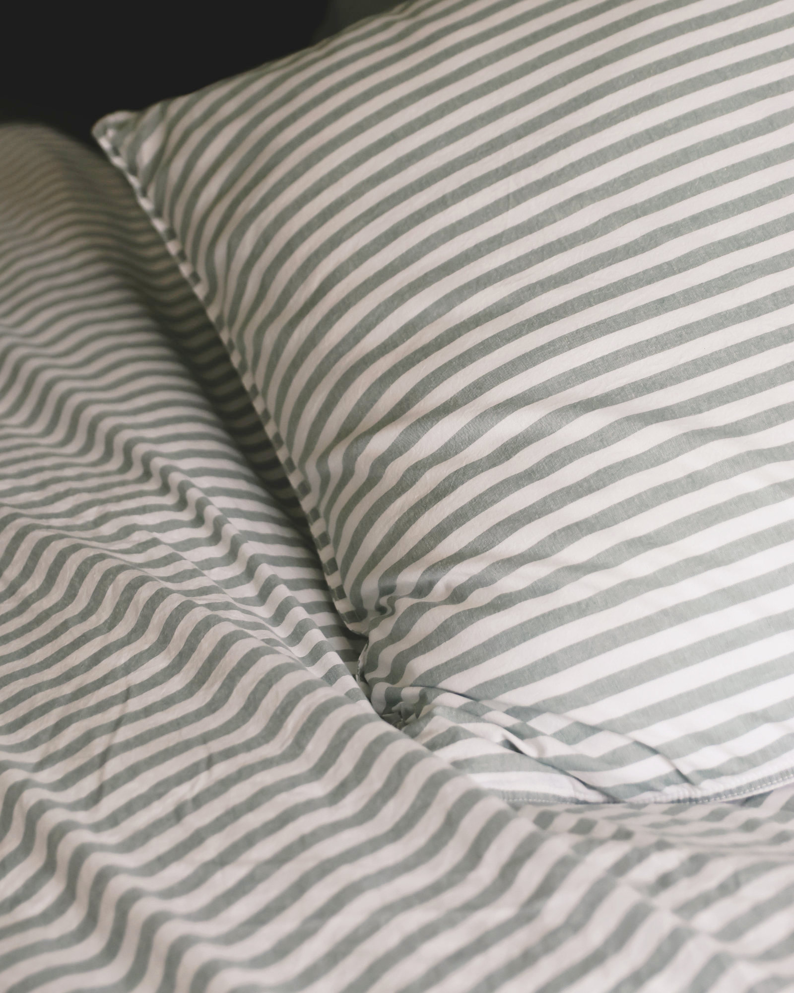 Parure de lit JEAN Eucalyptus