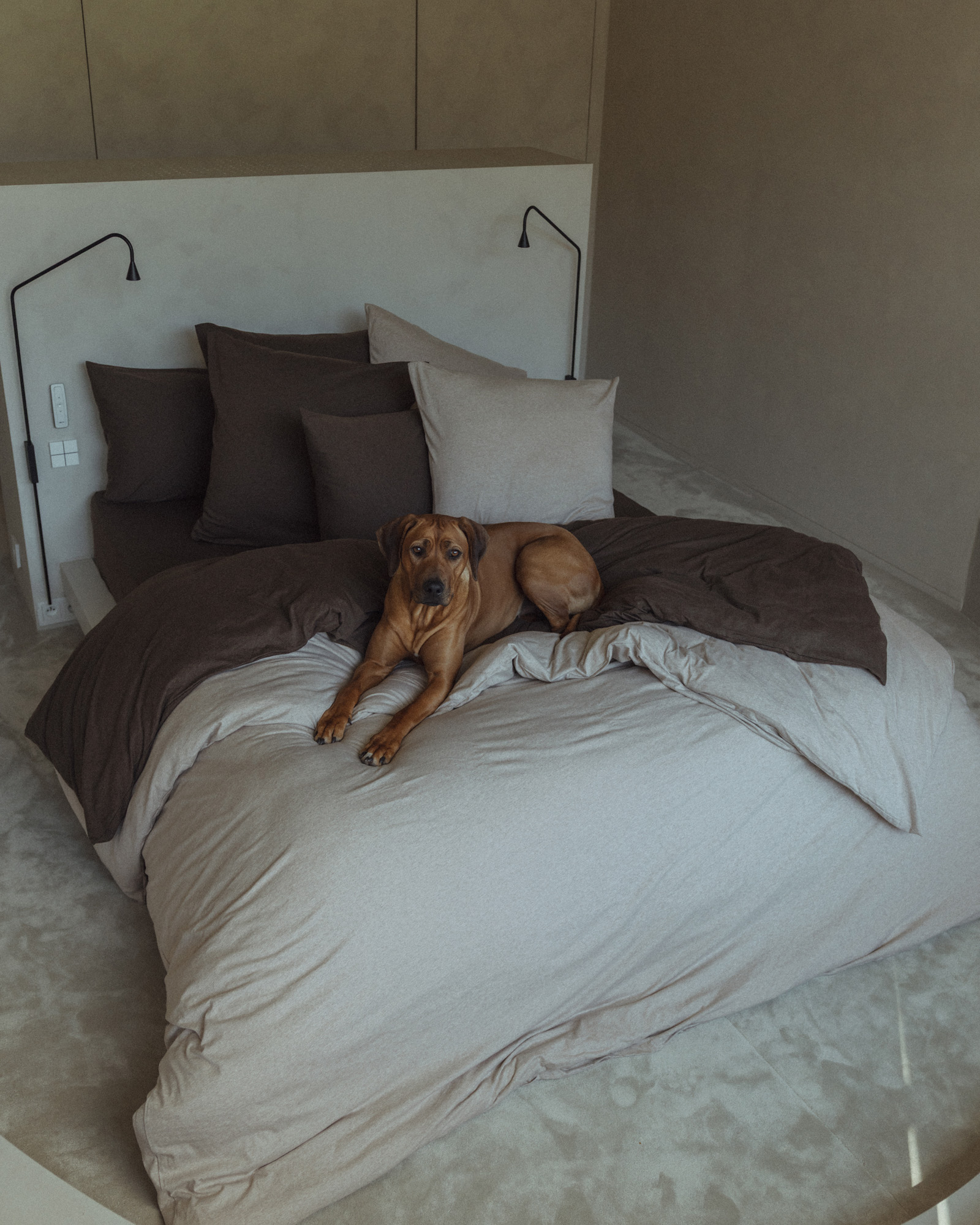 Dekbedset SUNDAY JERSEY Beige melange