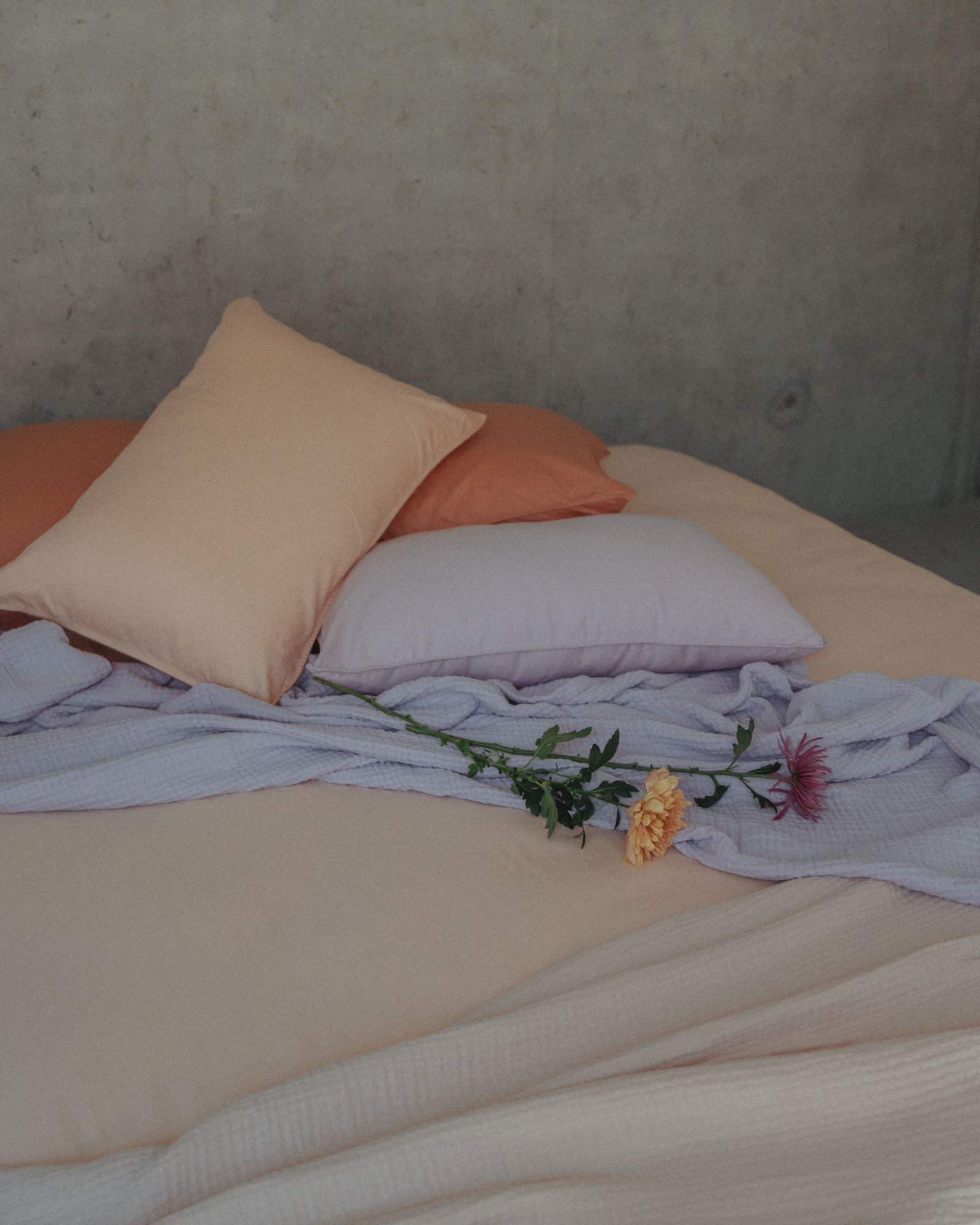 MARIE-MARIE - Bedspread VINTAGE COTTON Wisteria - 160x240 cm - Wisteria