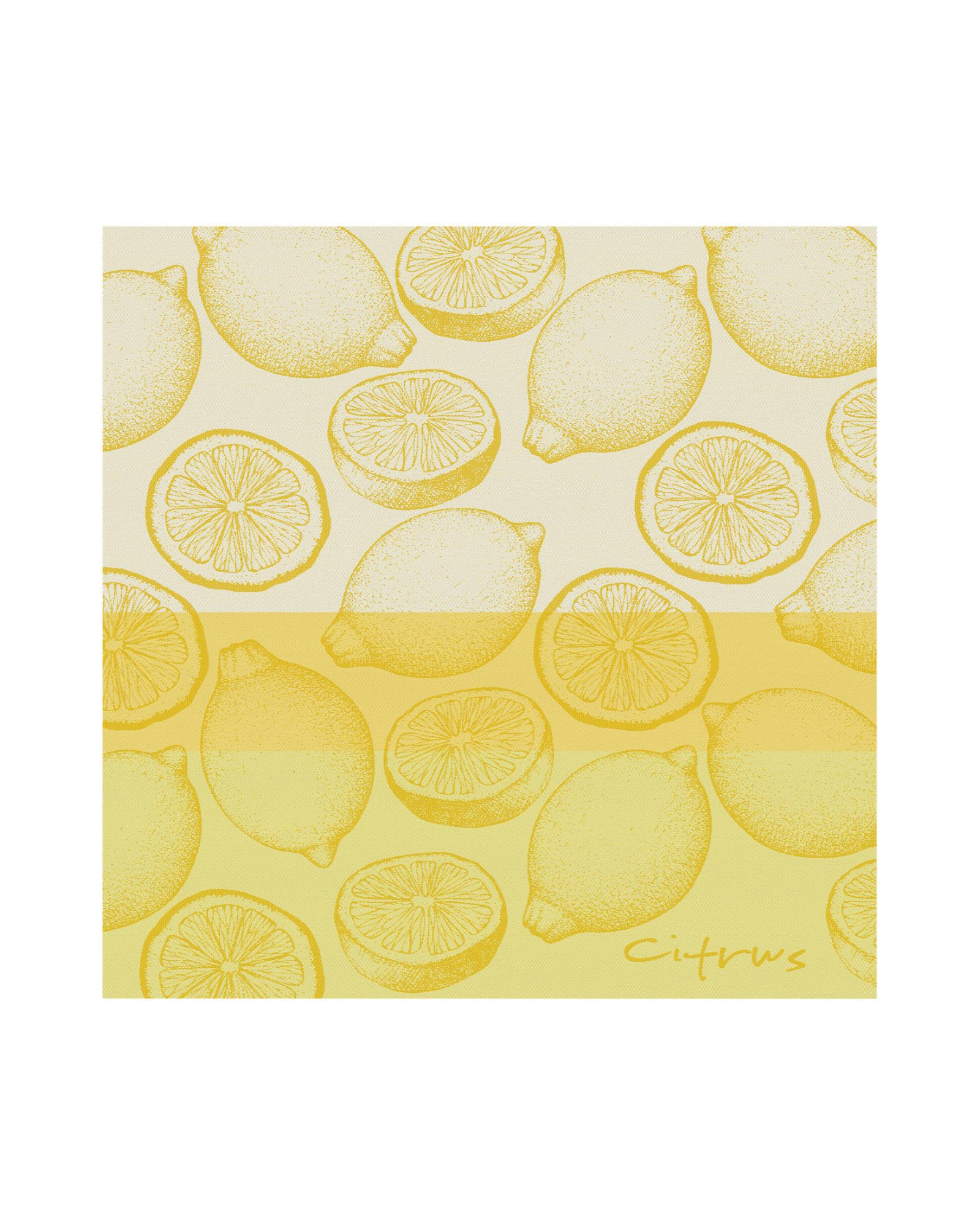 Arli - Kitchen towel CITRUS - 60x65 cm - Yellow