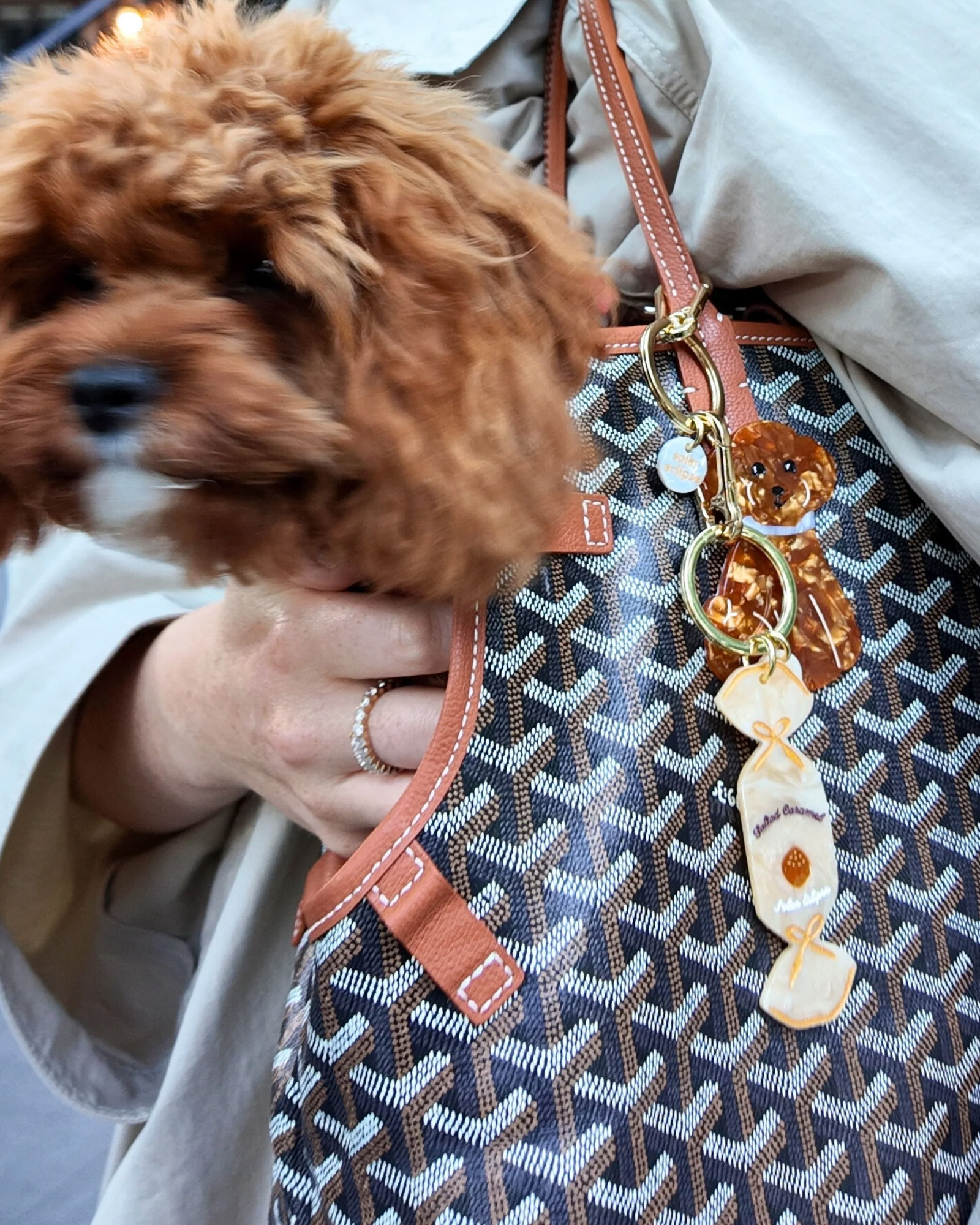 Key chain SOLAR ECLIPSE Doodle Puppy