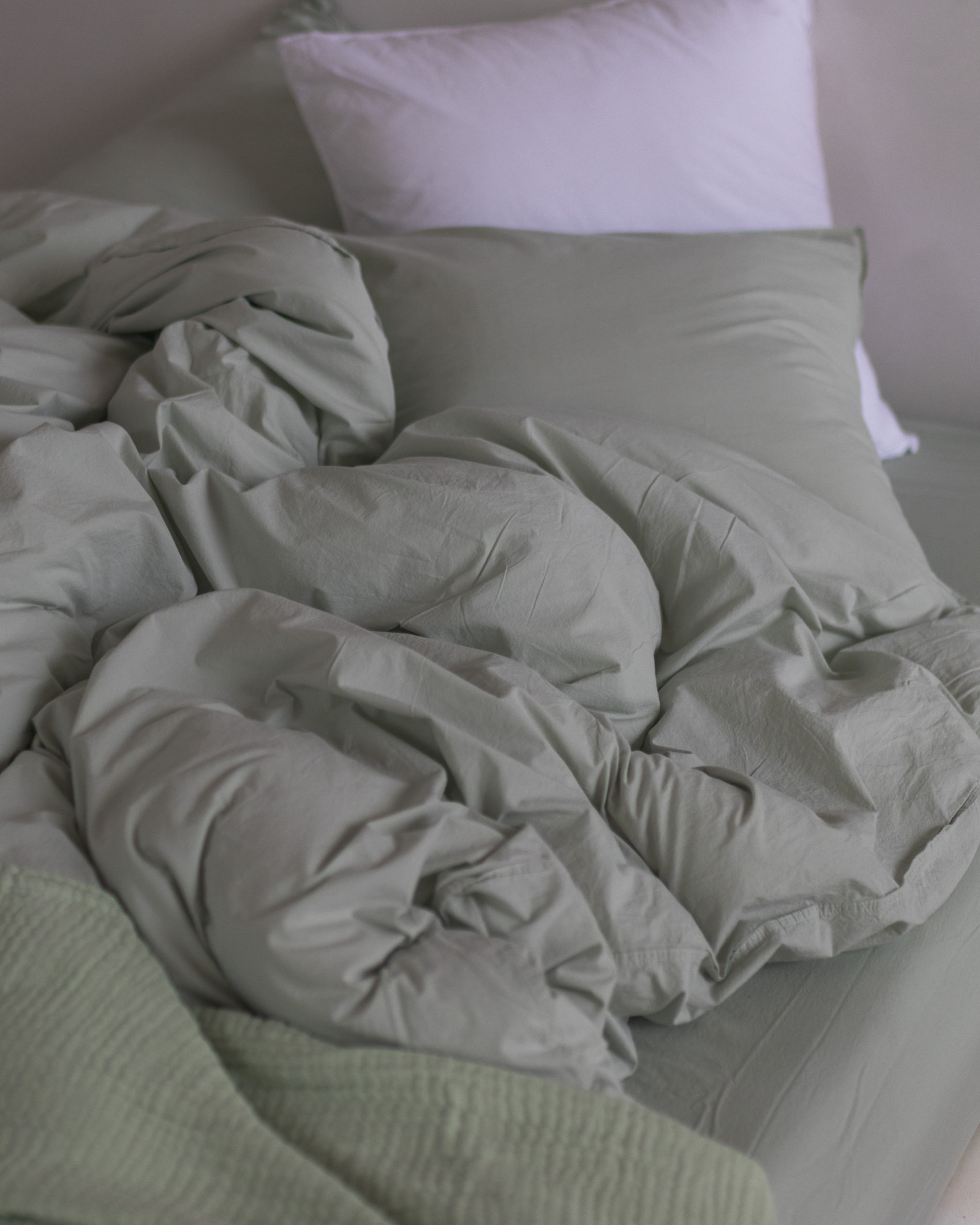 Drap housse VINTAGE COTTON Green tea