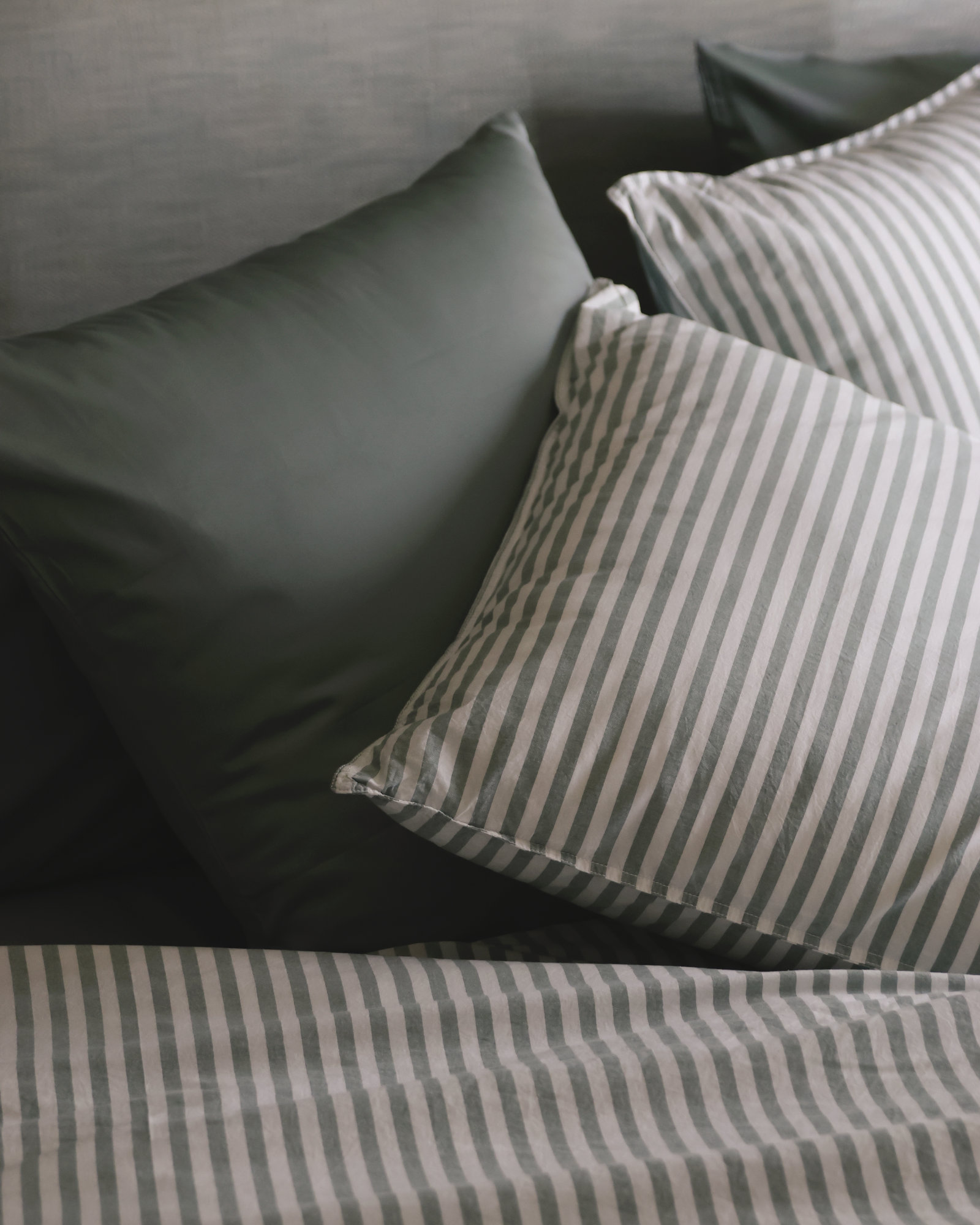 Taie d'oreiller JEAN Eucalyptus