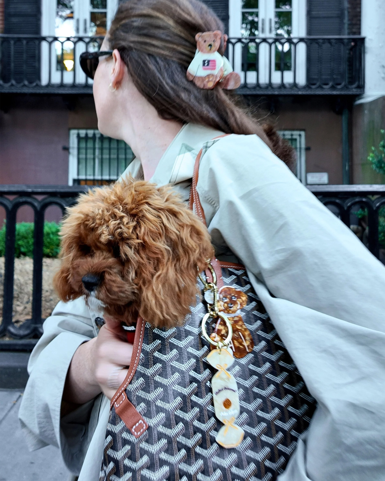 Dragonne SOLAR ECLIPSE Doodle Puppy