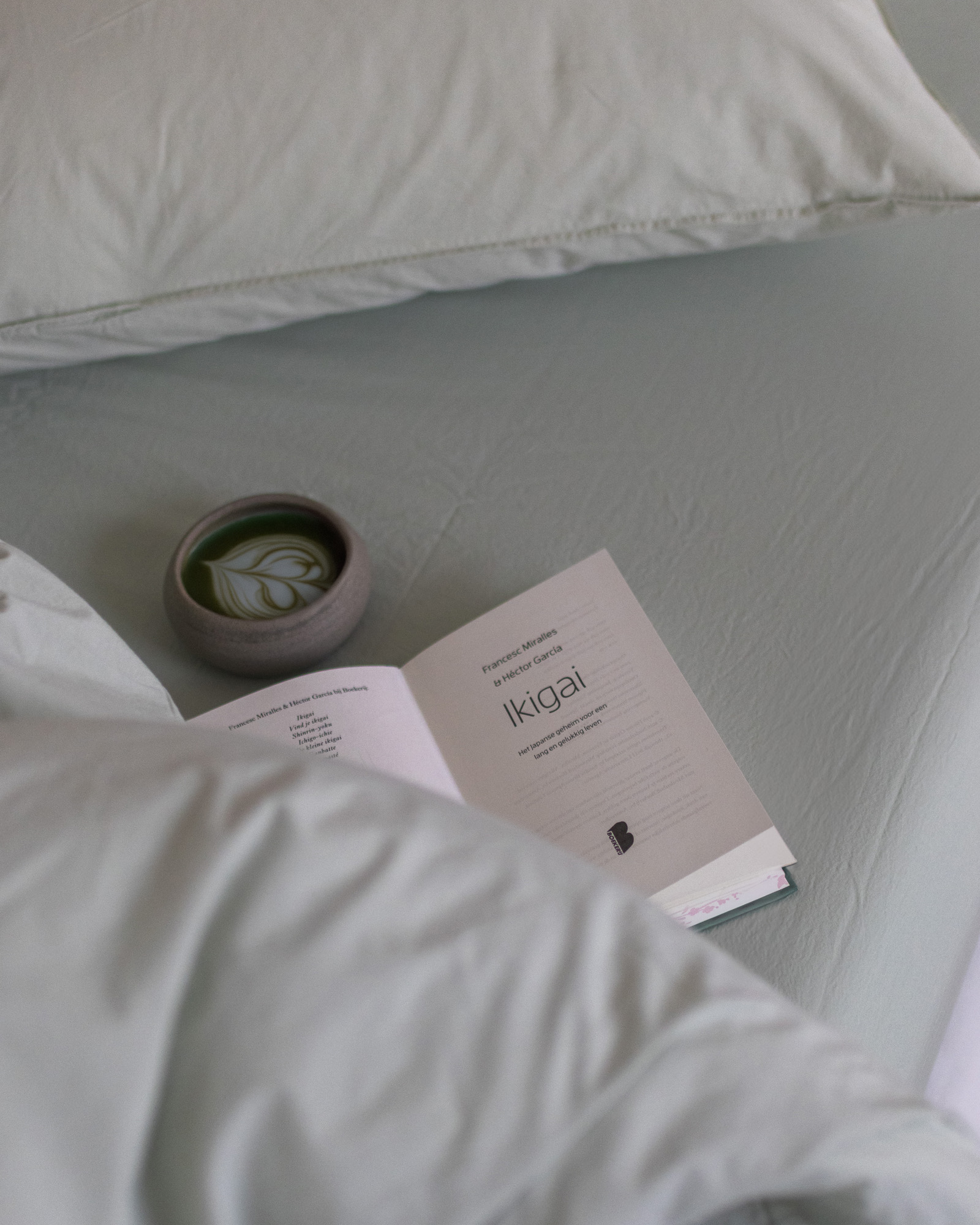 Bed linen set VINTAGE COTTON Green tea