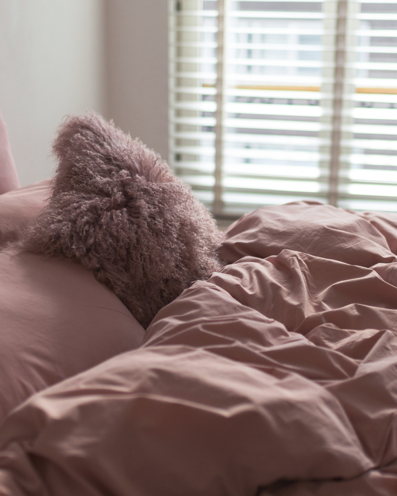 Pillowcase VINTAGE COTTON Lollipop