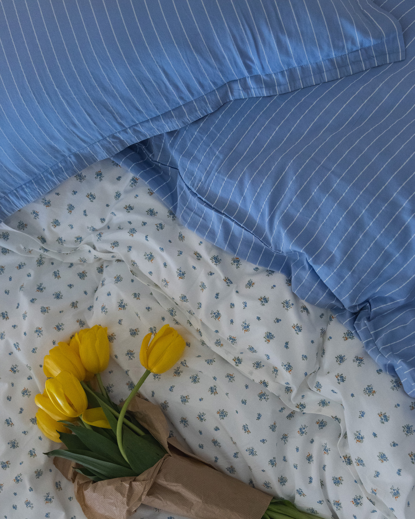 Sloop JOSEPHINE Violet Blue