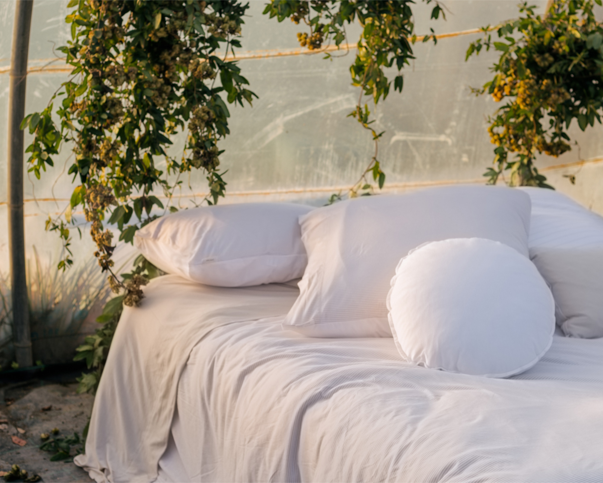 Mikmax - Bed linen set CALA - 260x240 cm + 2 slopen 65x65 cm - White/Beige