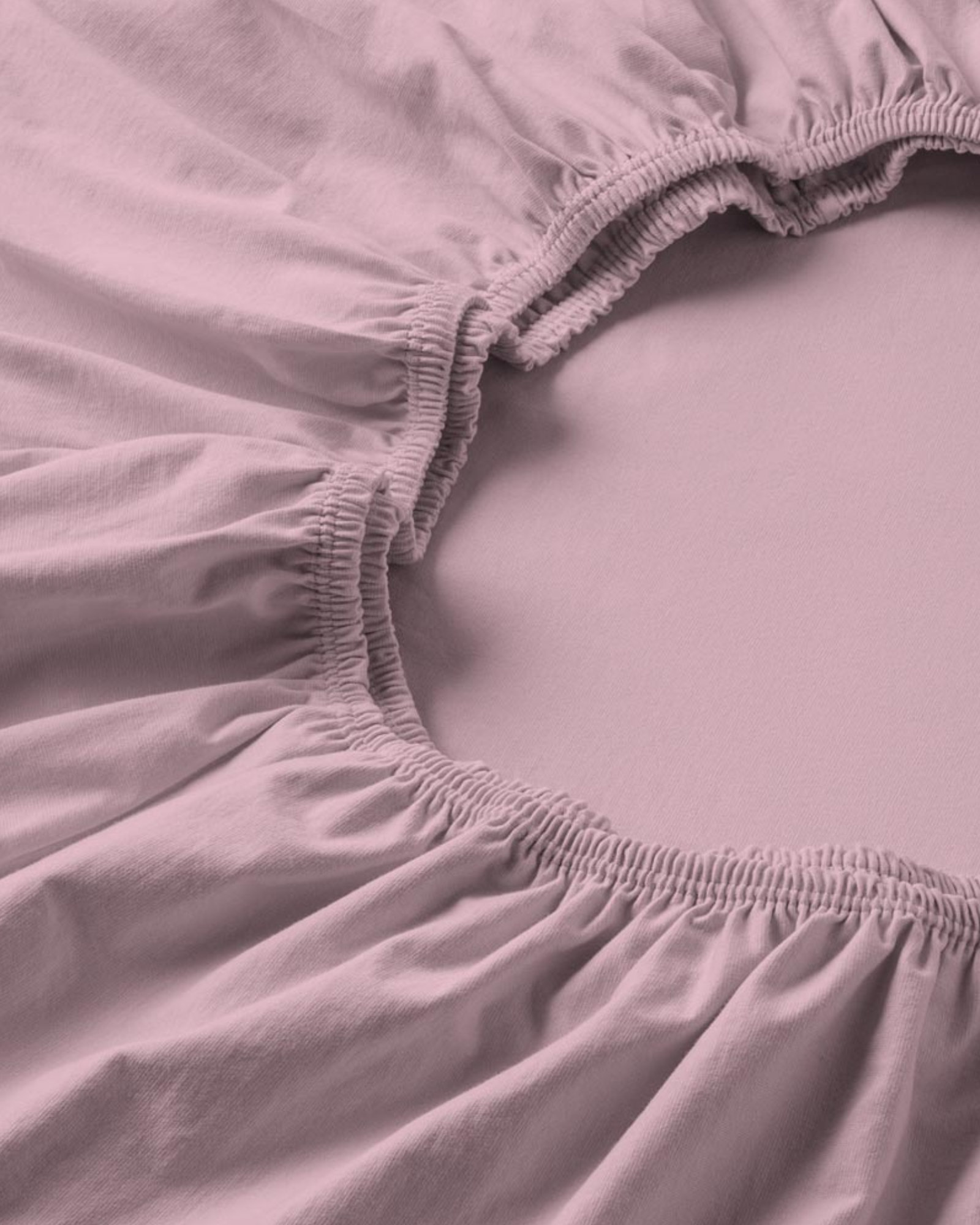 Fitted sheet JERSEY orchidee